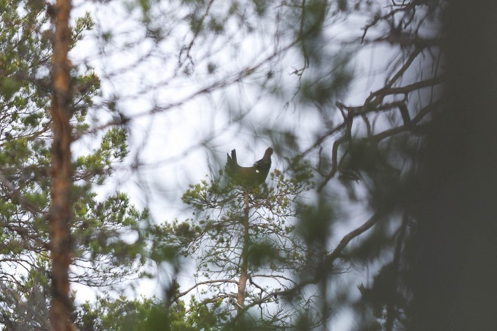 DSC_7041.jpg