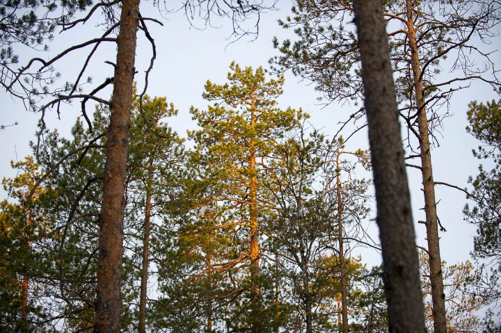 DSC_7042.jpg