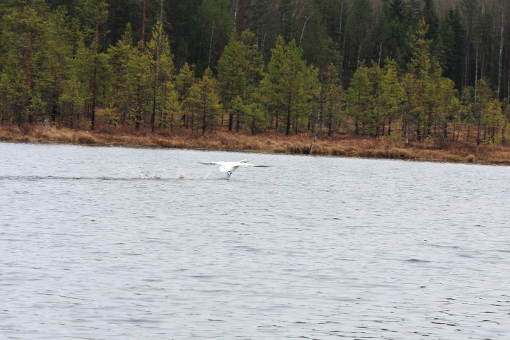 IMG_3588.JPG