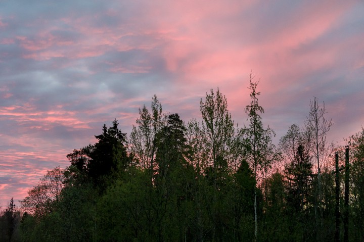 DSC_9303.jpg