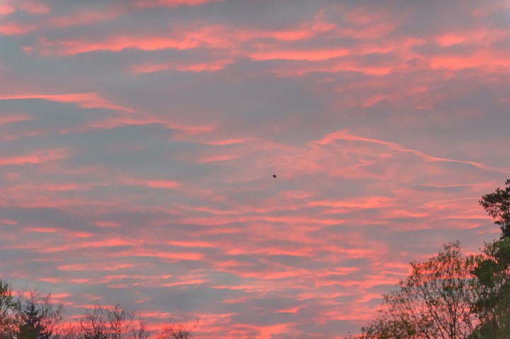 DSC_9308.jpg