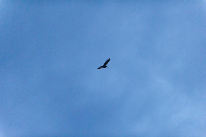 DSC_9360.jpg