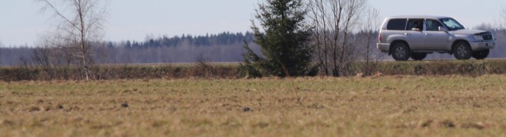 IMG_4751.jpg