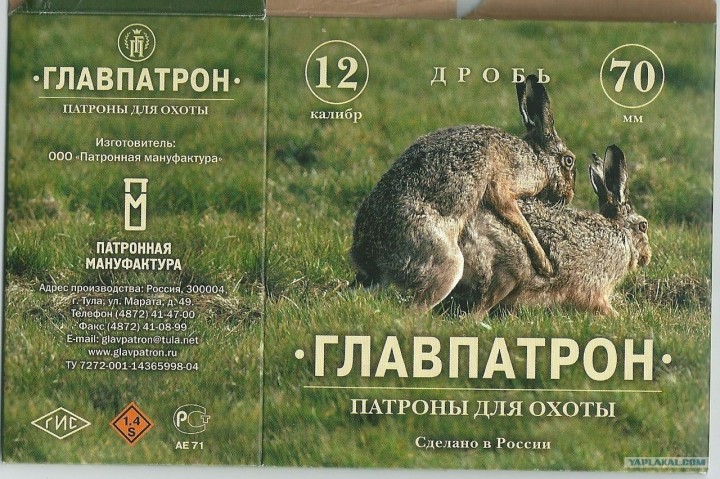 1921423.jpg