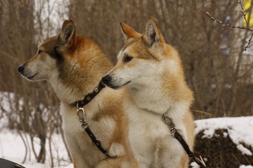 _MG_3540.JPG