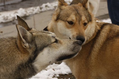 _MG_3544.JPG