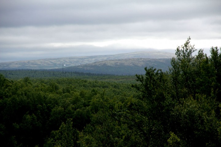 IMG_0423.jpg