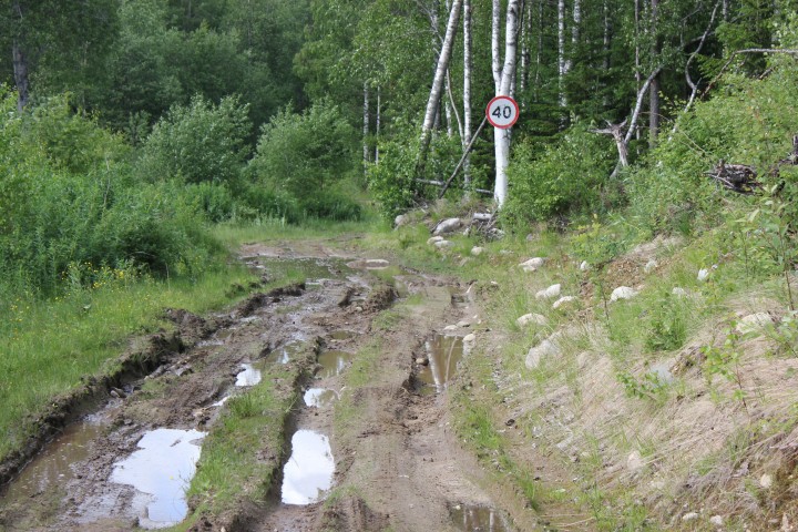 IMG_9918.JPG