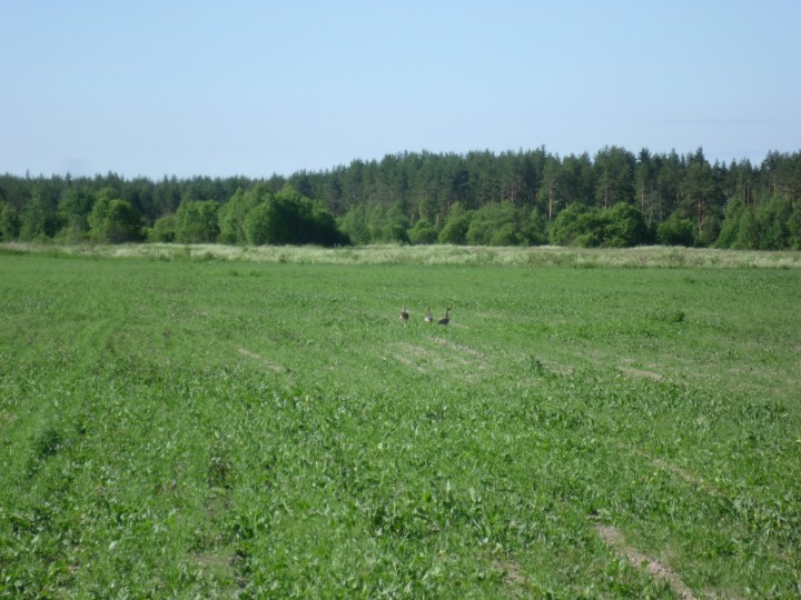 P1060745.jpg (1.17 МБ) 4958 просмотров P1060745.jpg