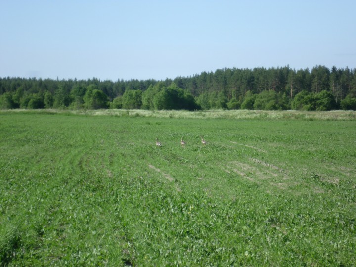 P1060746.jpg (1.12 МБ) 4784 просмотра P1060746.jpg