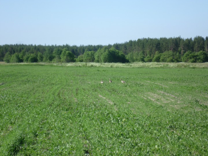 P1060747.jpg (1.18 МБ) 4764 просмотра P1060747.jpg