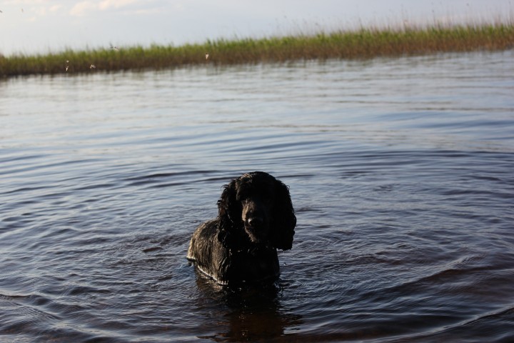 IMG_9859.JPG (788.04 КБ) 4392 просмотра IMG_9859.JPG
