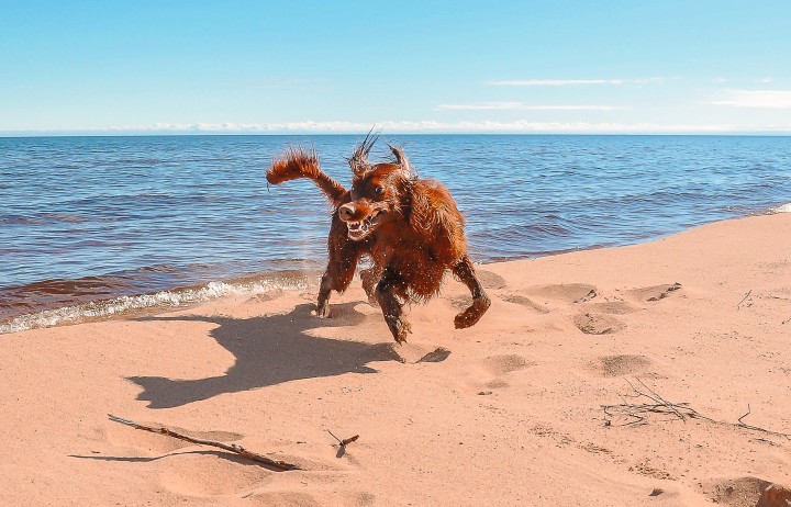 DSC_036.jpg (1.87 МБ) 4462 просмотра DSC_036.jpg