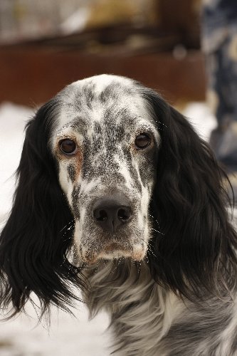 _MG_3665.JPG