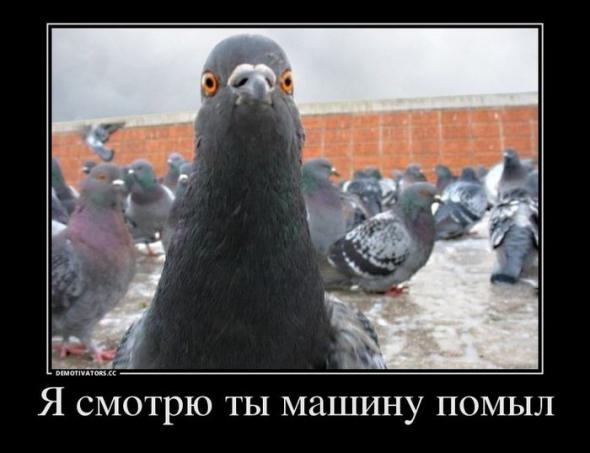 e0c8d9627b22[1].jpg