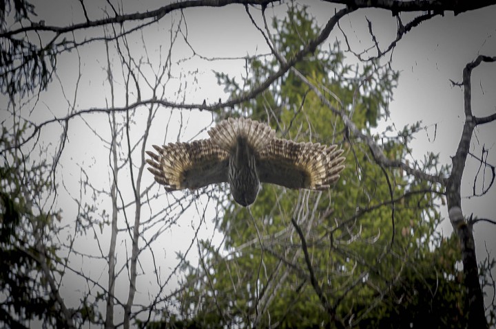 DSC_6206.jpg