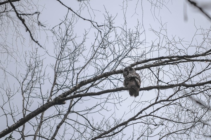 DSC_6138.jpg