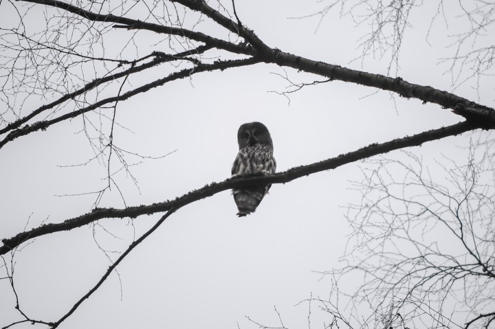 DSC_6157.jpg