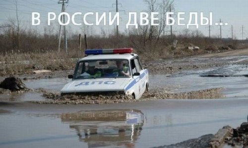 post-3-12391980786830.jpg