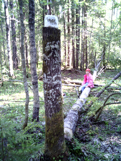 IMG_20130805_164030.jpg