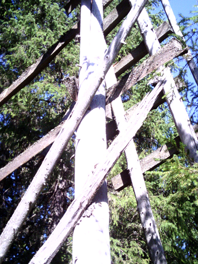 IMG_20130805_174211.jpg