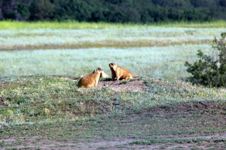 _MG_3648.JPG