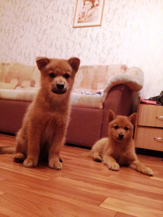 20130815_000111.jpg (2.36 МБ) 1986 просмотров 20130815_000111.jpg