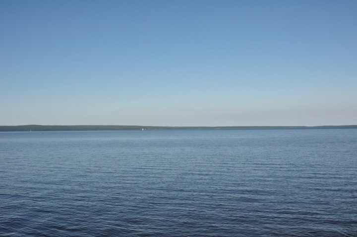 D90.jpg