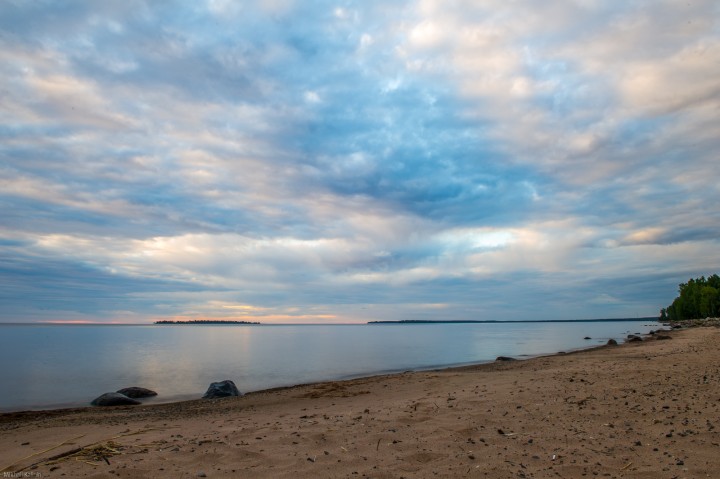 DSC_9495.jpg