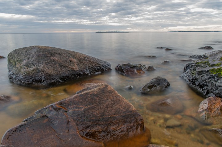 DSC_9845.jpg