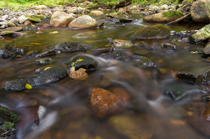 DSC_9863.jpg