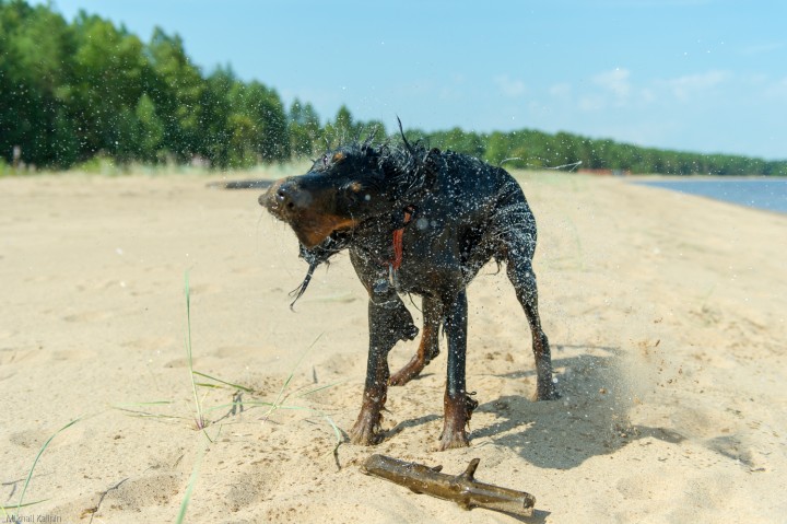 DSC_9010.jpg