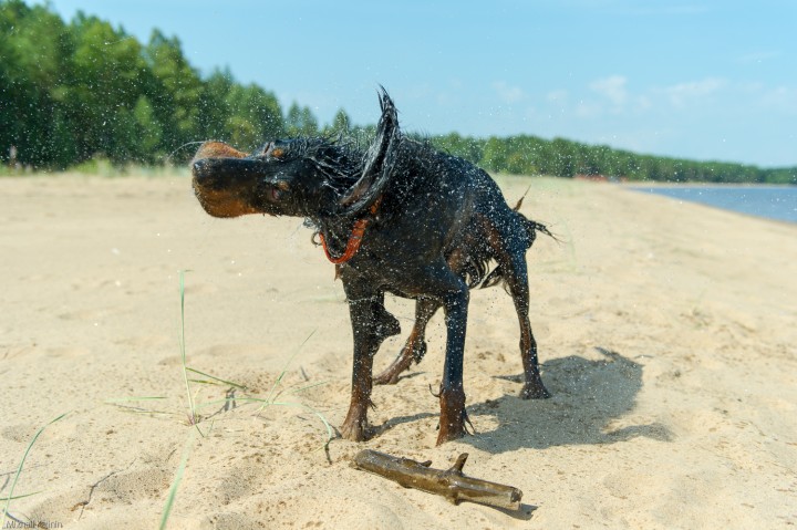 DSC_9011.jpg