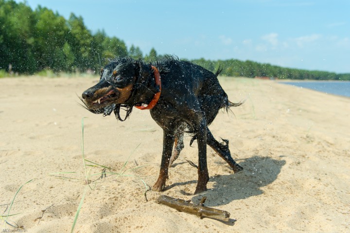 DSC_9014.jpg