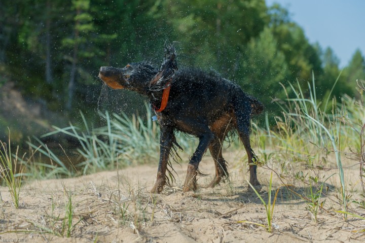 DSC_9070.jpg