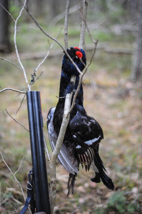 DSC_6093.jpg