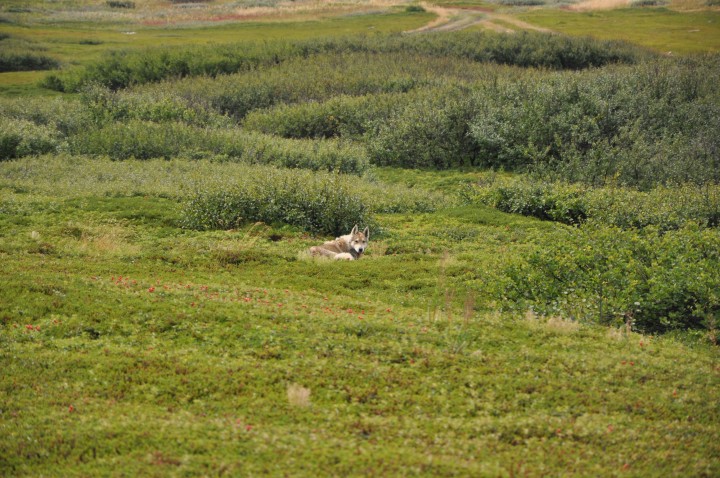 DSC_0958.jpg