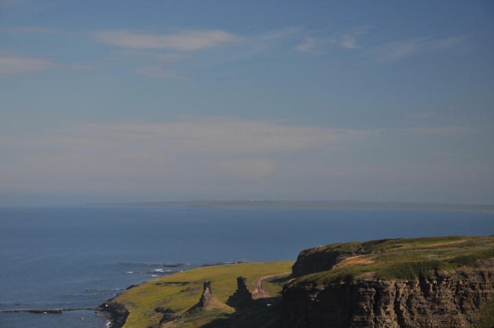 DSC_0930.jpg