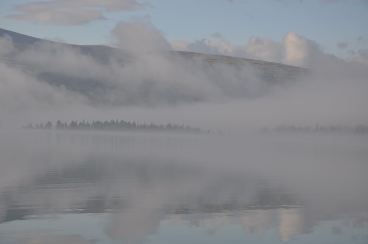DSC_0714.jpg