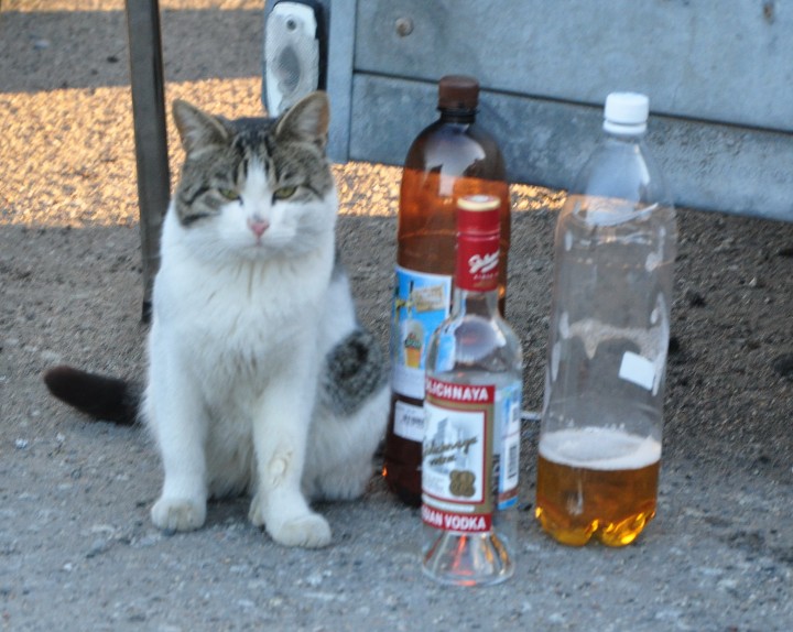 DSC_0563.jpg
