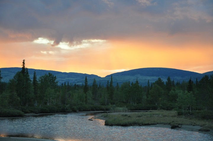 DSC_0528.jpg