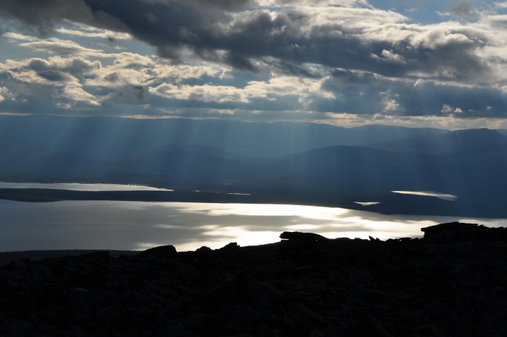 DSC_0459.jpg