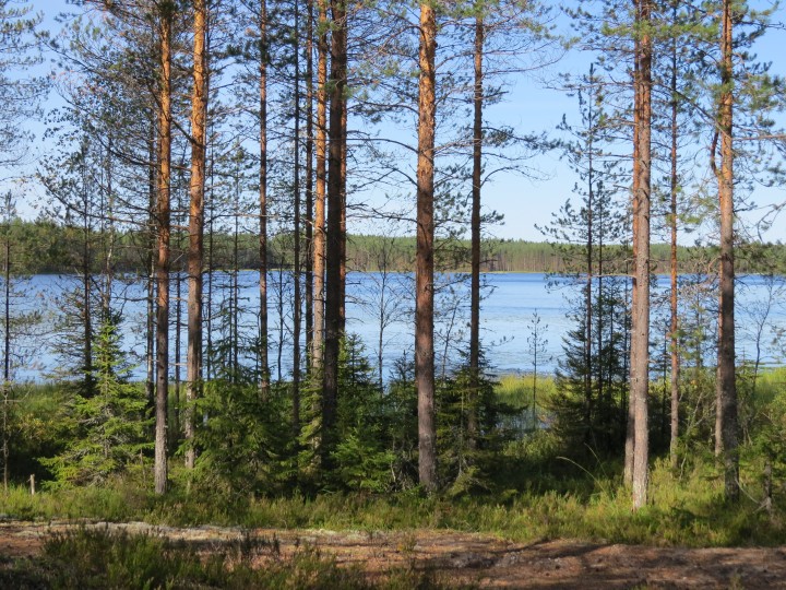 озеро,красота.