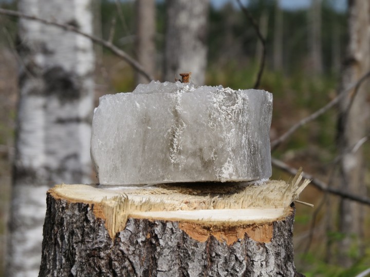 IMG_0140.JPG (2.97 МБ) 3064 просмотра солонец.