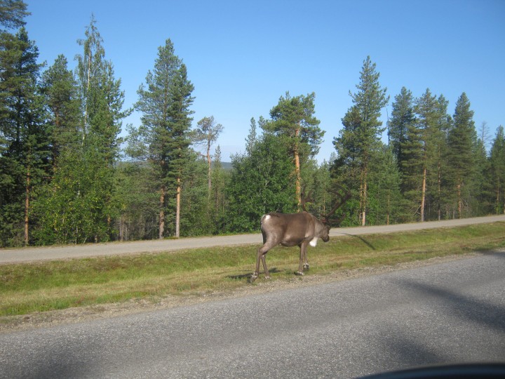 IMG_1145.JPG