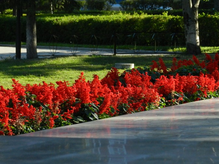 DSCN6491.JPG
