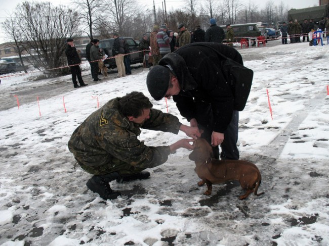 Рашель показывает зубки.