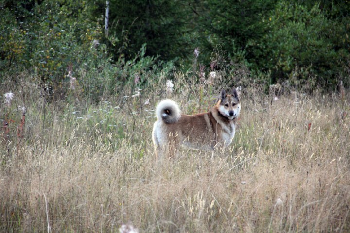 IMG_1828.jpg