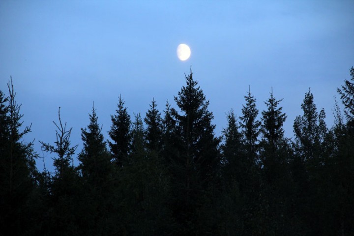 IMG_1832.jpg