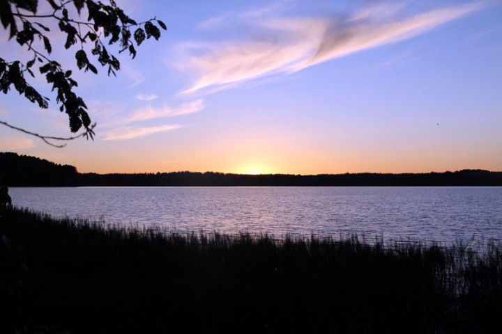 IMG_1977.jpg